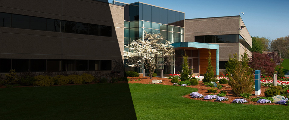 South Easton Landscapers