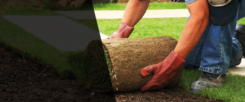 South Easton Landscapers